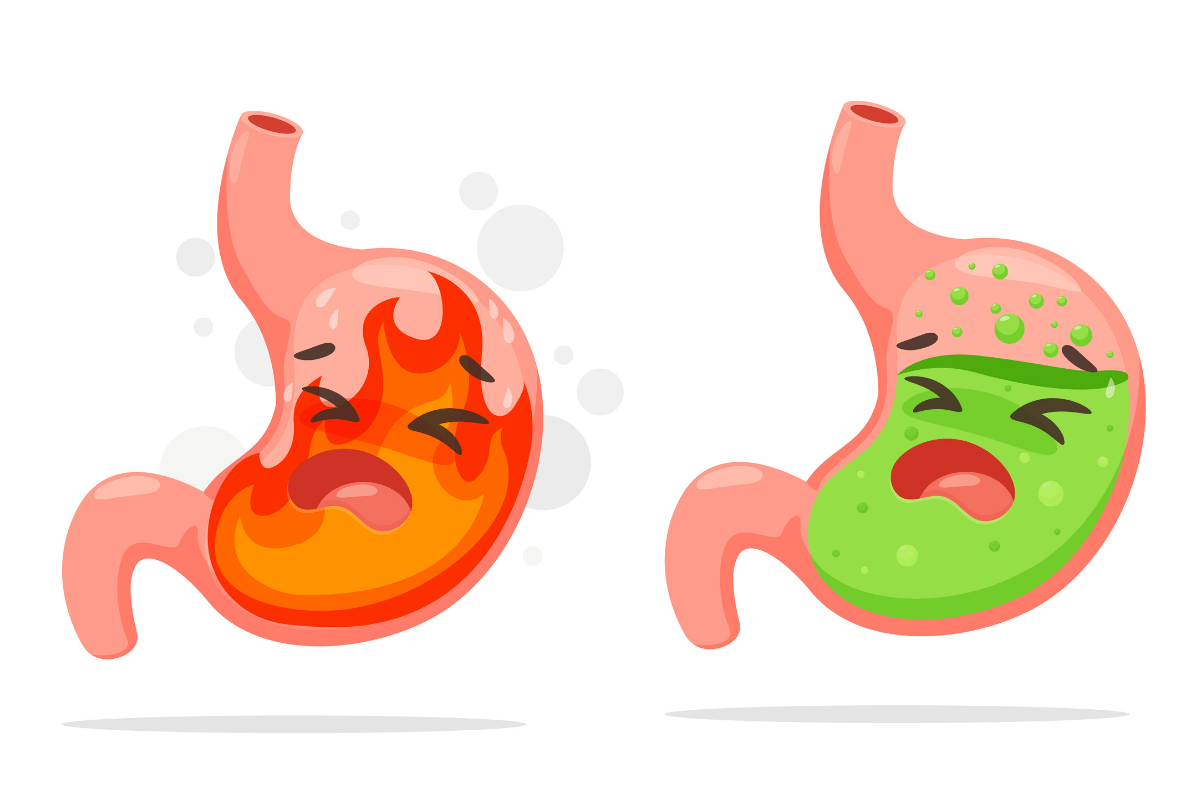 Acid Reflux And Natural Foods That Relieve An Acidic Stomach Truweight