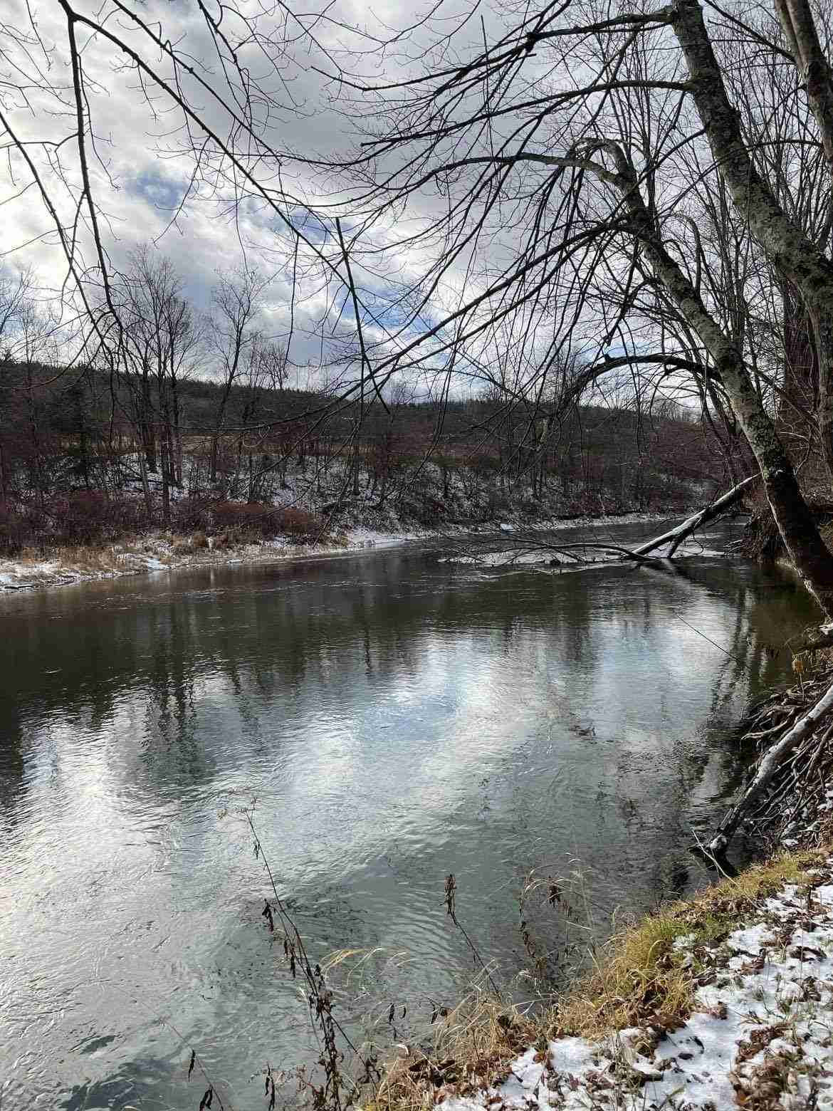 715 Chenango County Land 65 acres Posson Realty LLC.