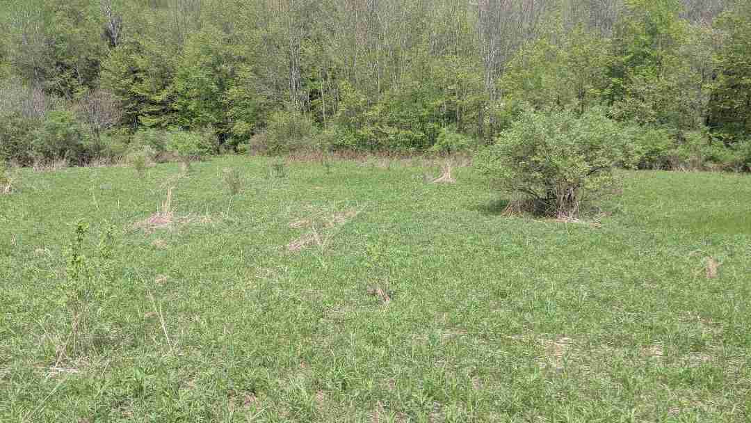 1120 North Norwich, NY Land Posson Realty LLC.