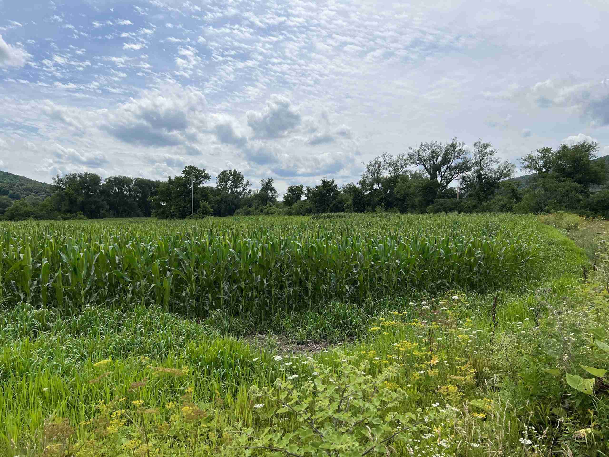  150060 Acres Near Chenango River Posson Realty LLC.