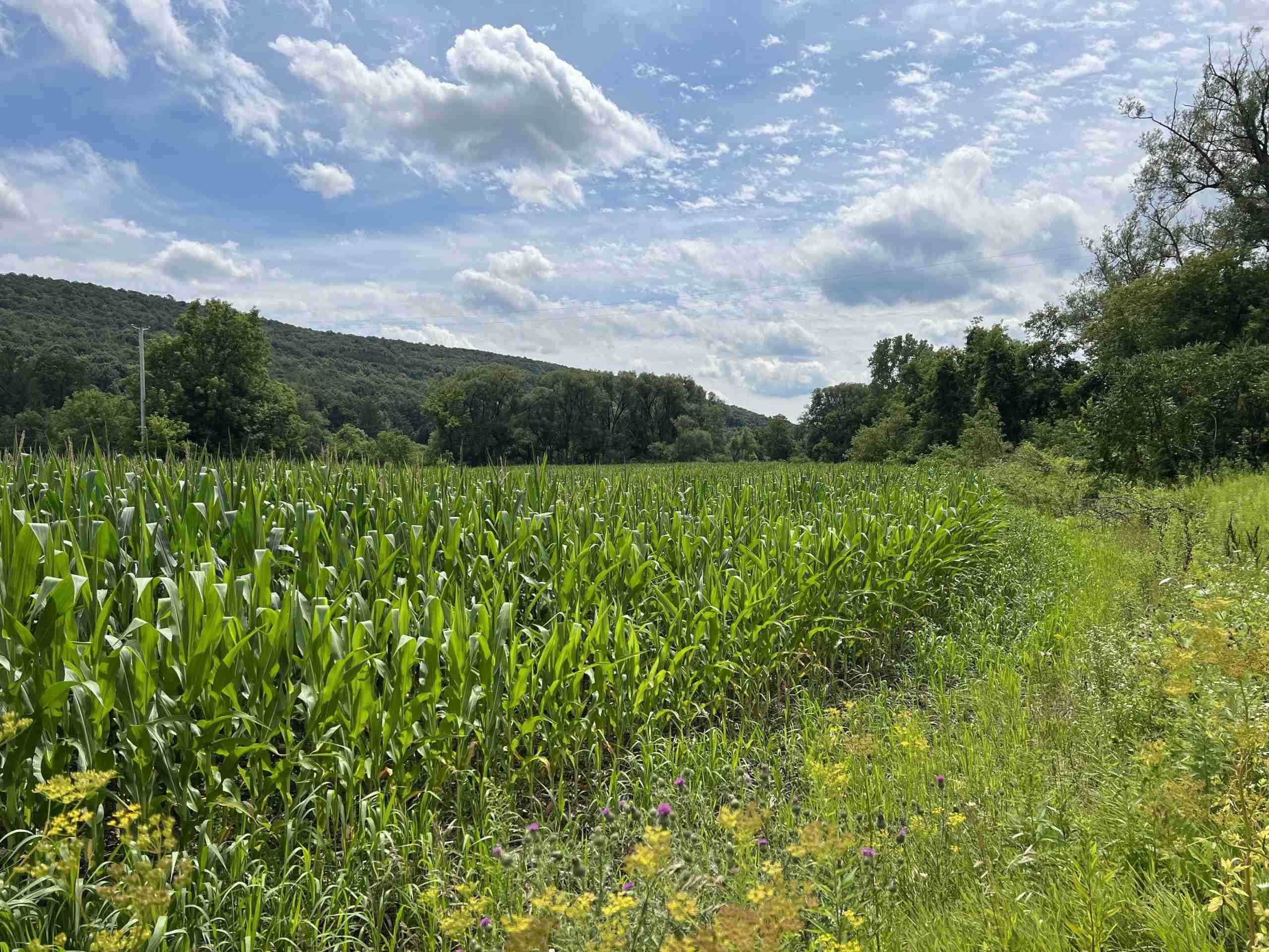  150060 Acres Near Chenango River Posson Realty LLC.