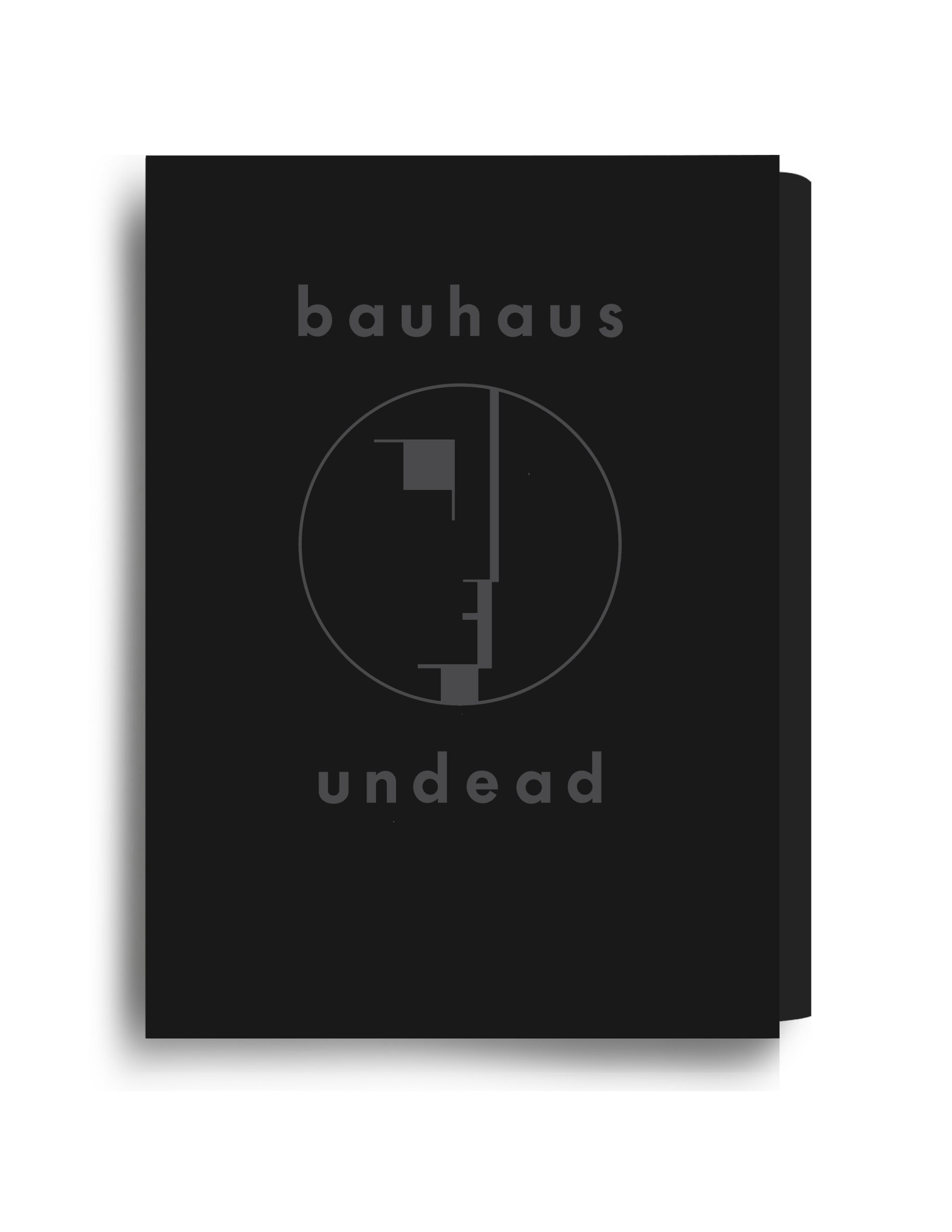 Bauhaus Undead An interview with Kevin Haskins Plus excerpt about