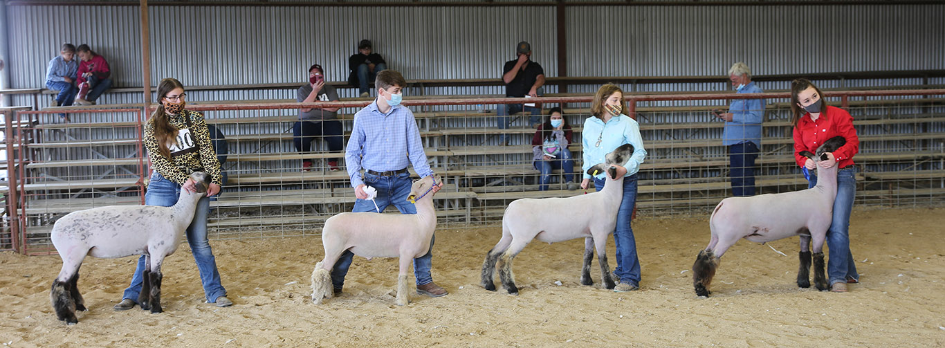 PHOTOS Caldwell County Junior Livestock Show 2021 Post Register