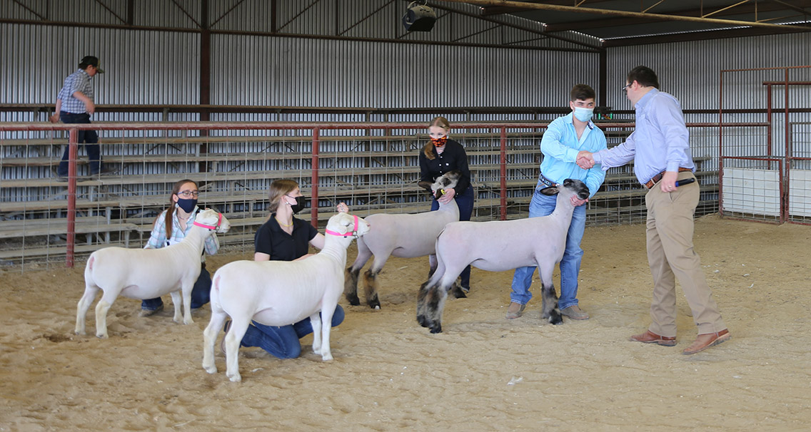PHOTOS Caldwell County Junior Livestock Show 2021 Post Register