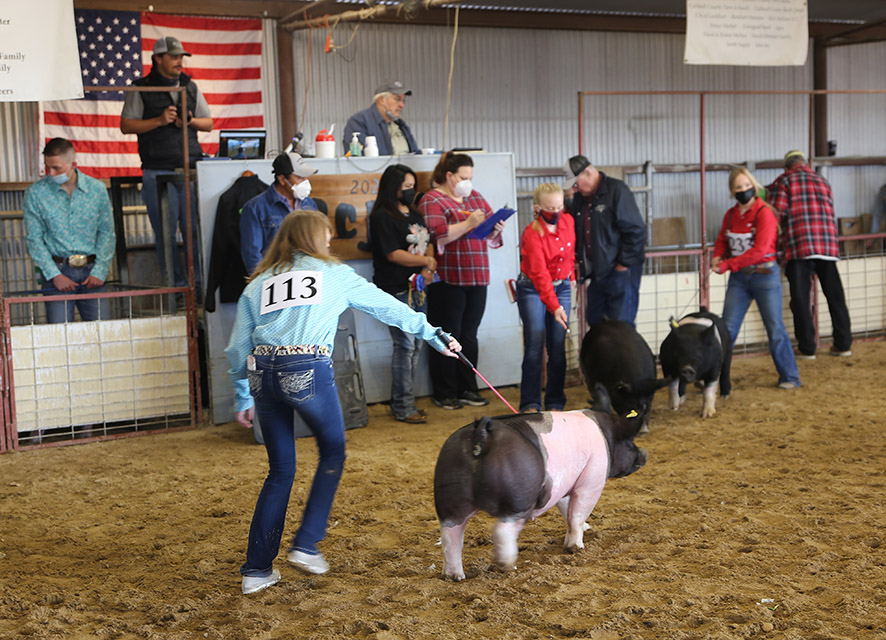 PHOTOS Caldwell County Junior Livestock Show 2021 Post Register