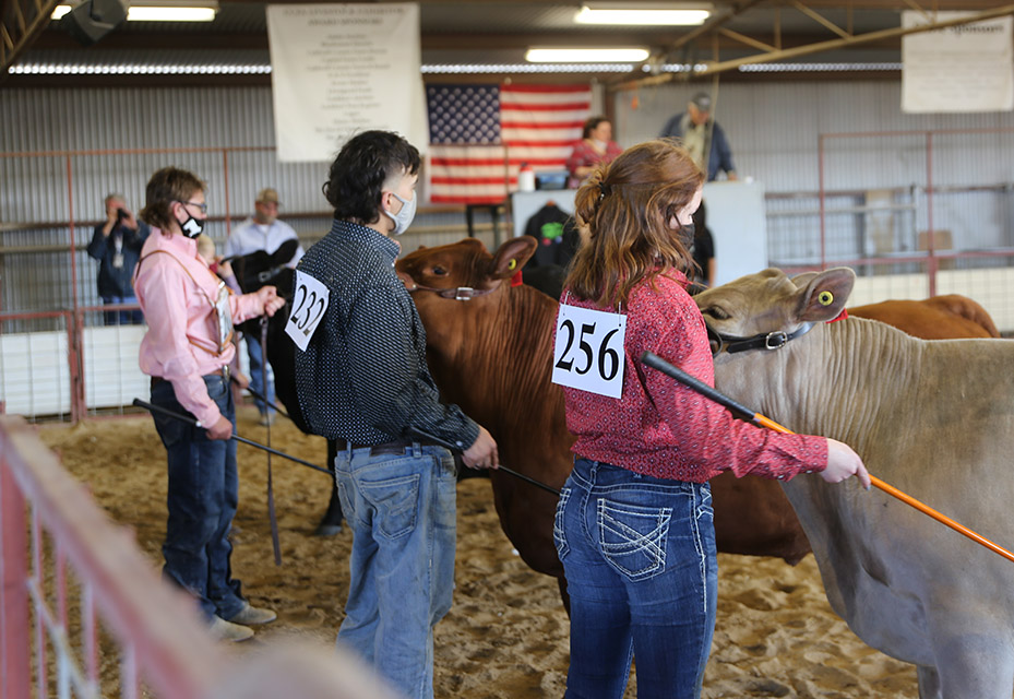 PHOTOS Caldwell County Junior Livestock Show 2021 Post Register