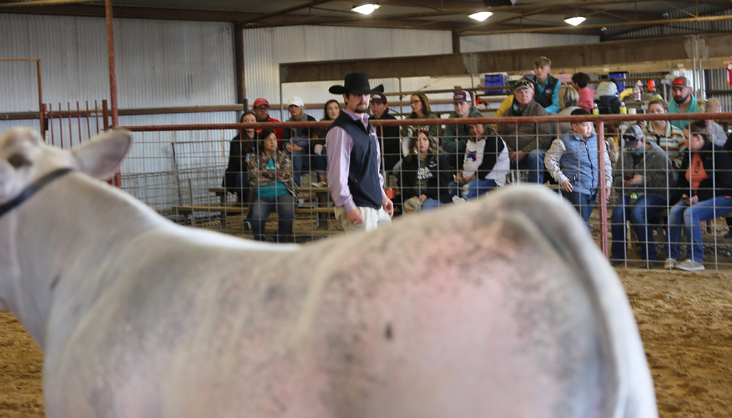 PHOTOS Caldwell County Junior Livestock Show 2021 Post Register