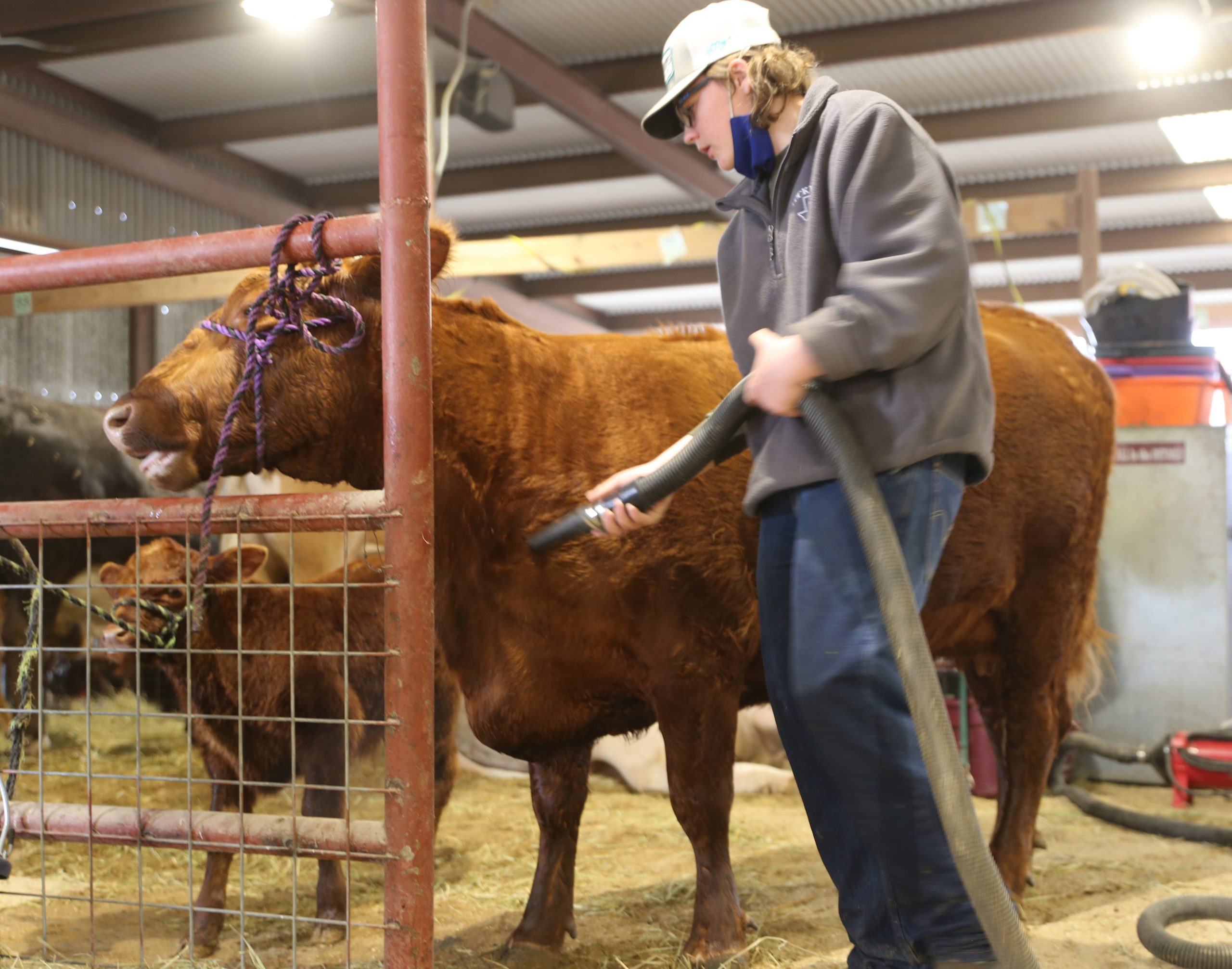 PHOTOS Caldwell County Junior Livestock Show 2021 Post Register