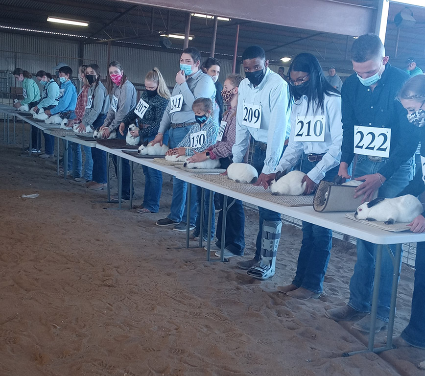 PHOTOS Caldwell County Junior Livestock Show 2021 Post Register