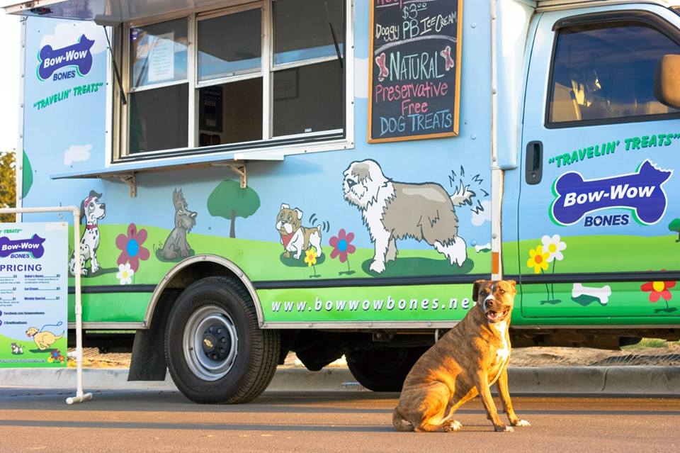 Doggy Vending Machines Are Now A Thing And We Love It BARK Post