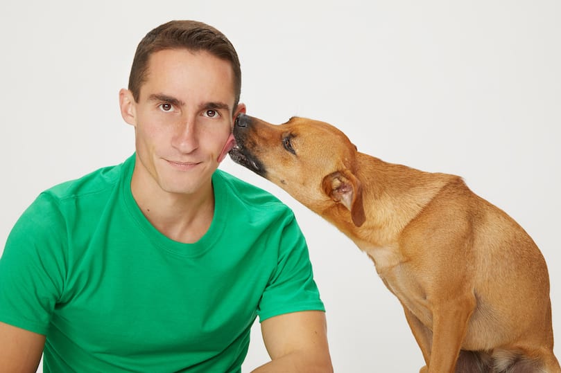 How Do You Teach A Dog To Bark At Strangers