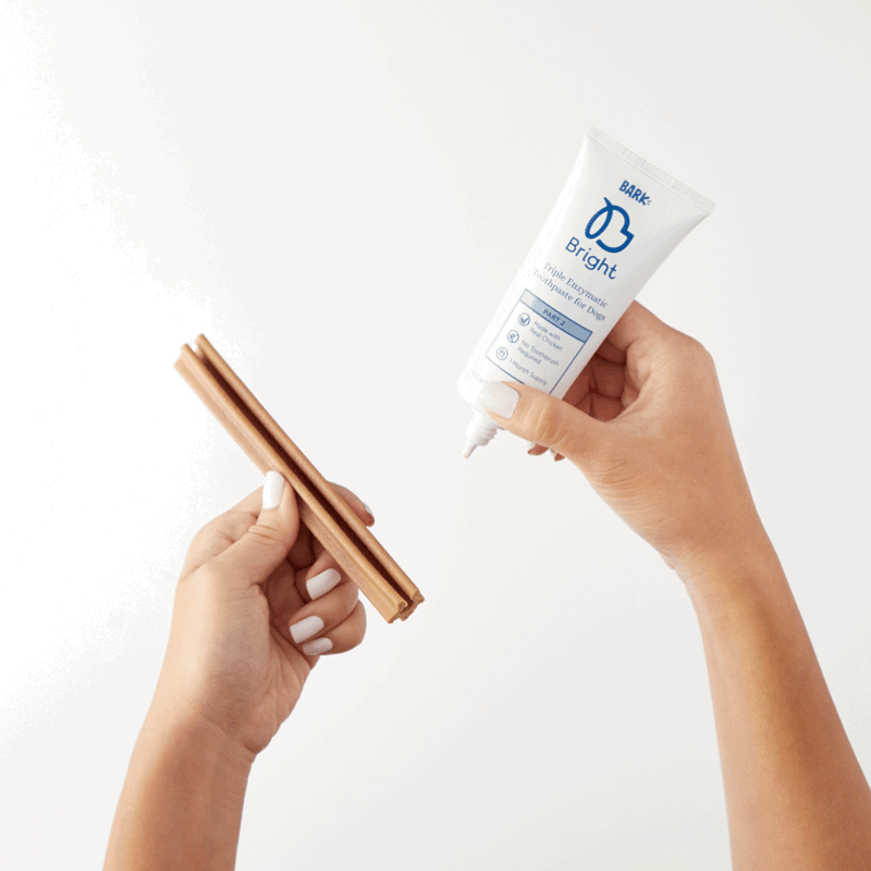 Is BARK Bright Worth It? The Solution To Dog Dental Care BARK Post