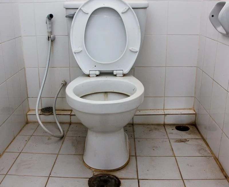 Do Public Toilet Seat Covers Work Velcromag