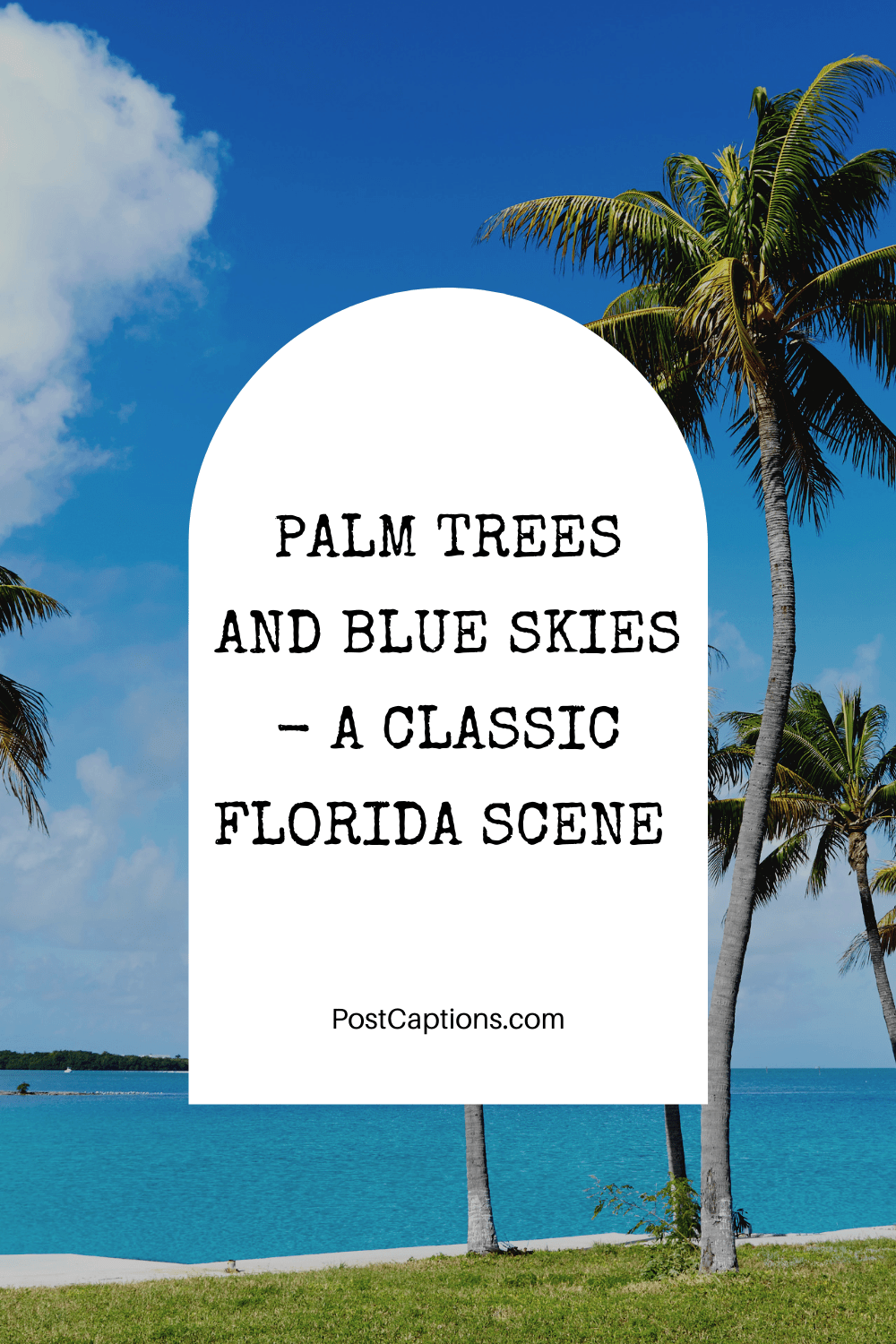 The Best Florida Captions for Instagram