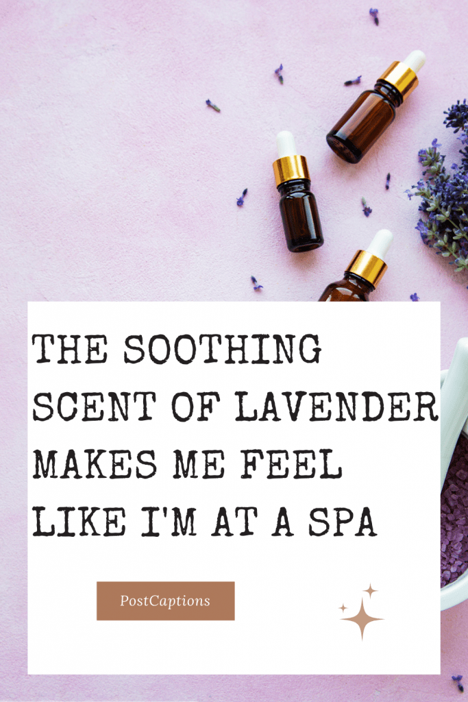70 Beautiful Lavender Captions for Instagram