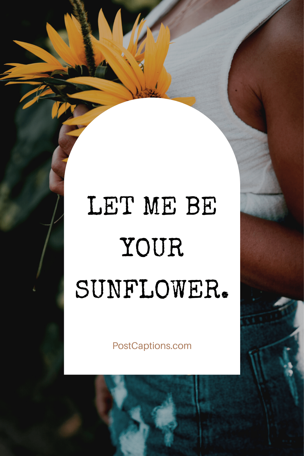 80 Sunflower Captions and Sunflower Quotes for Instagram