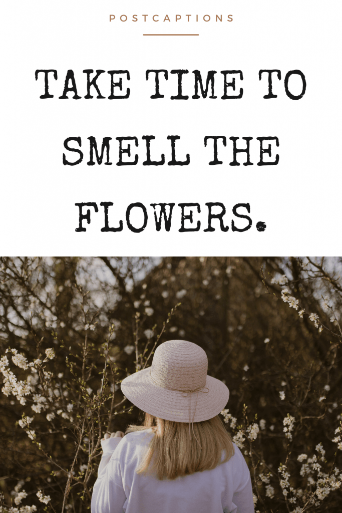 105 Best Flower Captions for Instagram