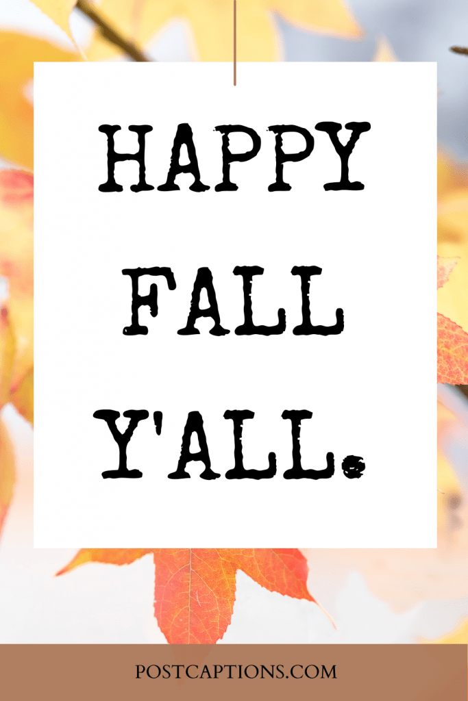 75 Cozy Fall Captions for Instagram