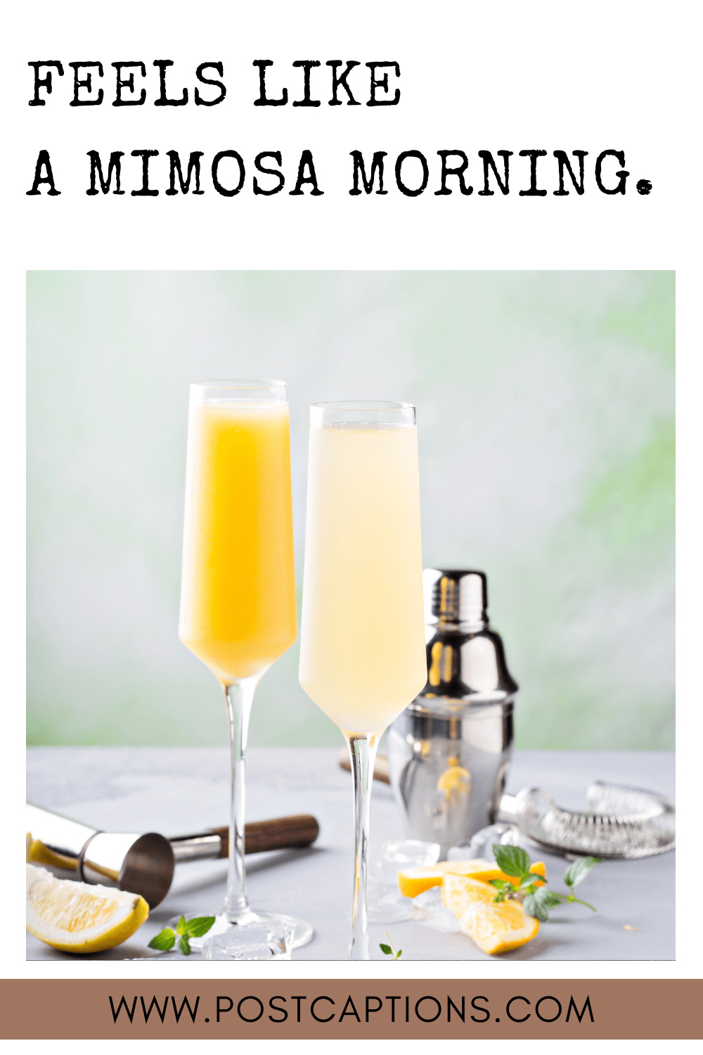 50 Perfect Mimosa Captions for Instagram