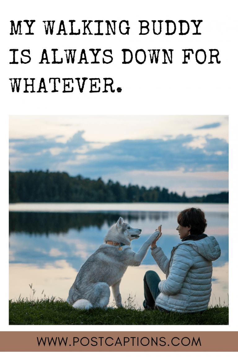 55 Best Instagram Captions for Walking Your Dog
