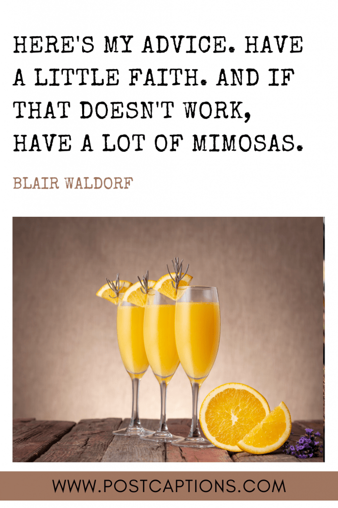 50 Perfect Mimosa Captions for Instagram