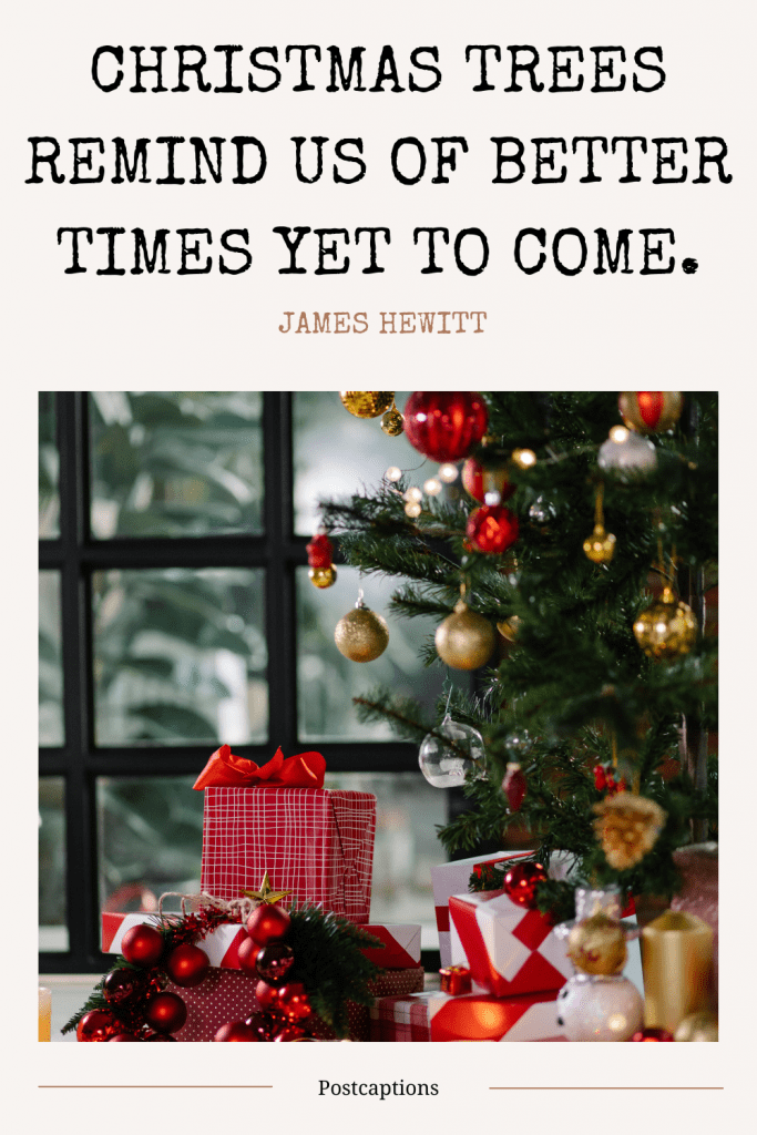 55 Best Christmas Tree Captions for Instagram