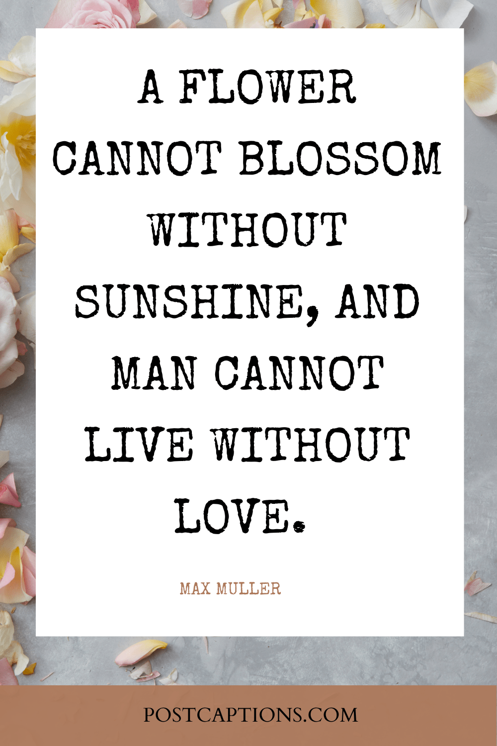 175 Best Short Love Quotes and Sayings