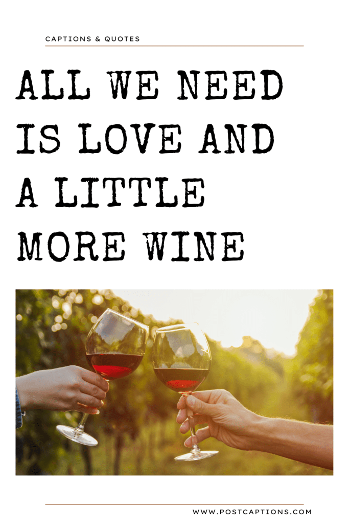 100 Best Wine and Winery Instagram Captions