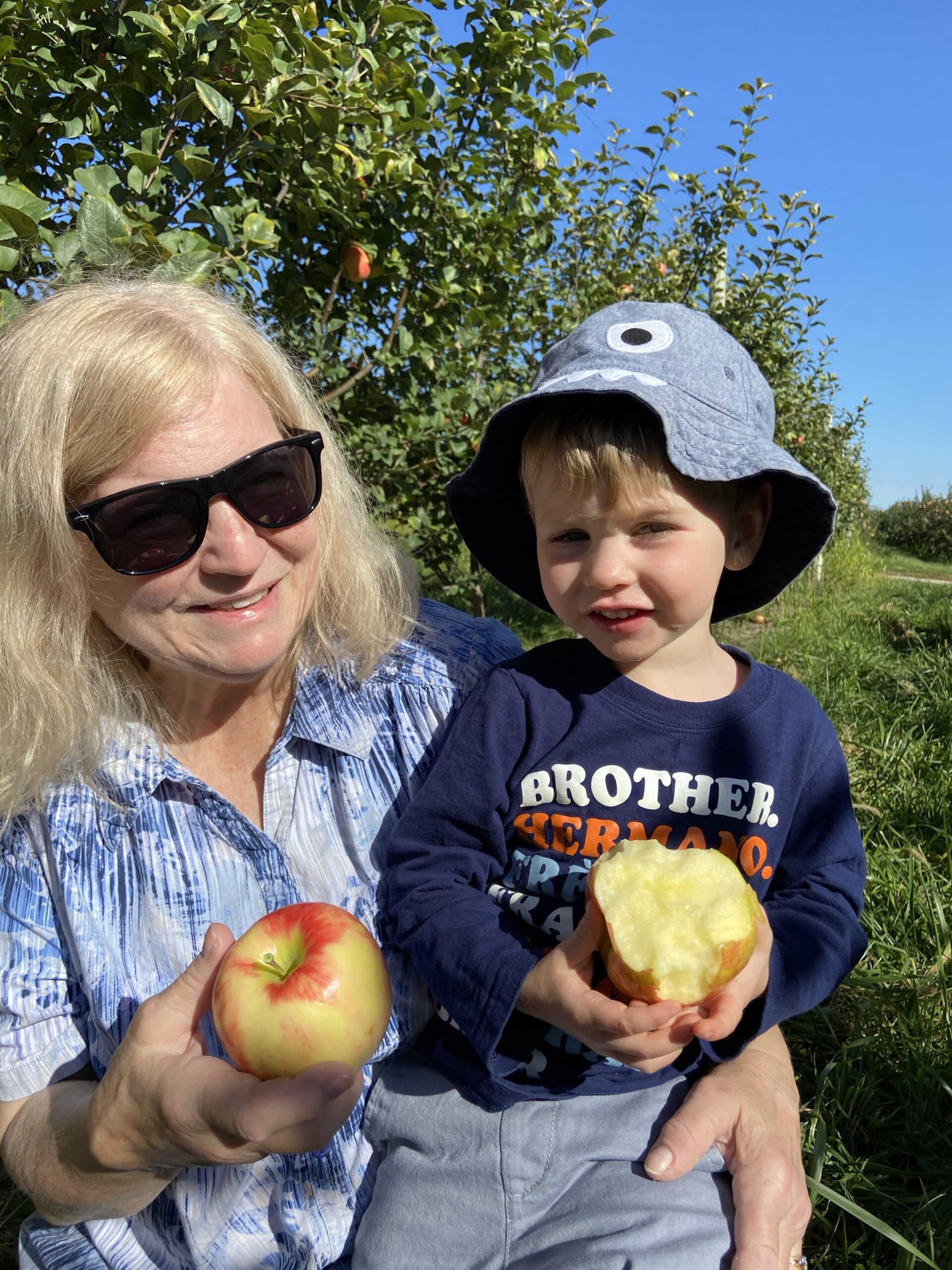 Top 10 Memorable Apple Orchards in Wisconsin (2024) Postcard Narrative