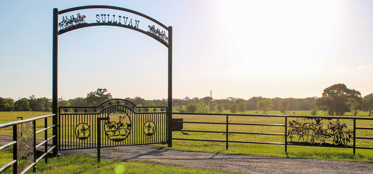 Business Focus A Little Bit Western Postcards Magazine