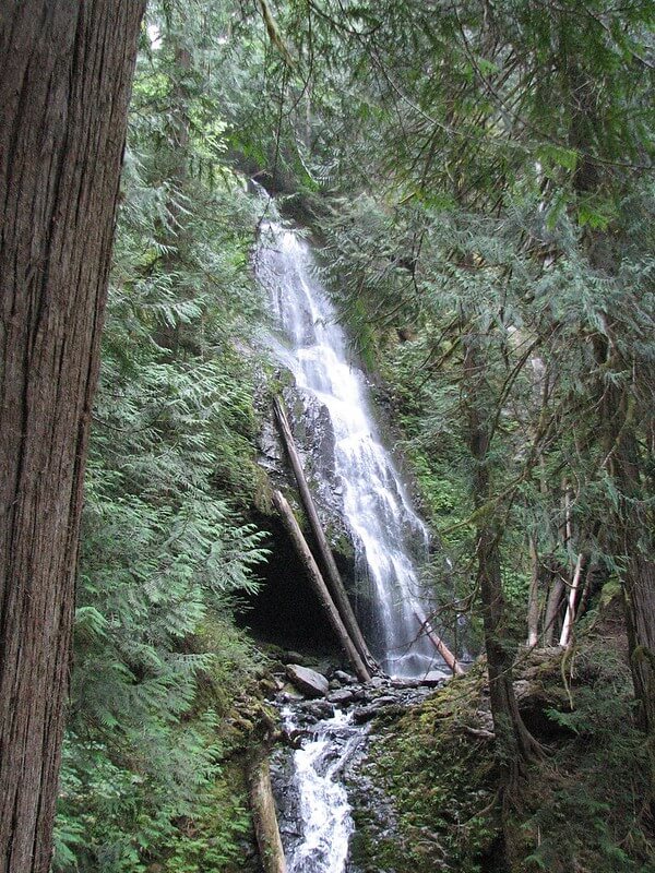 16 Best Rainy Day Hikes Near Seattle You Should Try Postcards to Seattle