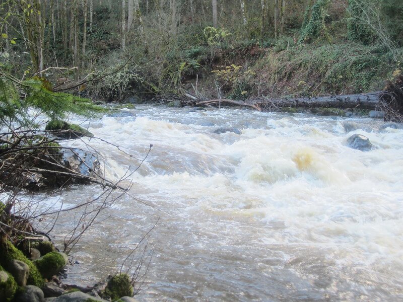 16 Best Rainy Day Hikes Near Seattle You Should Try Postcards to Seattle