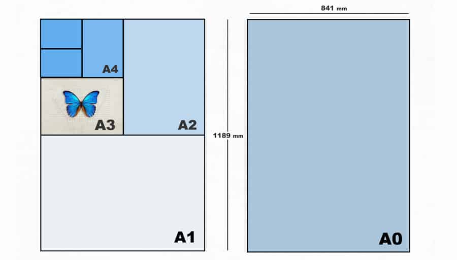 A complete guide to A3 poster printing for students, businesses