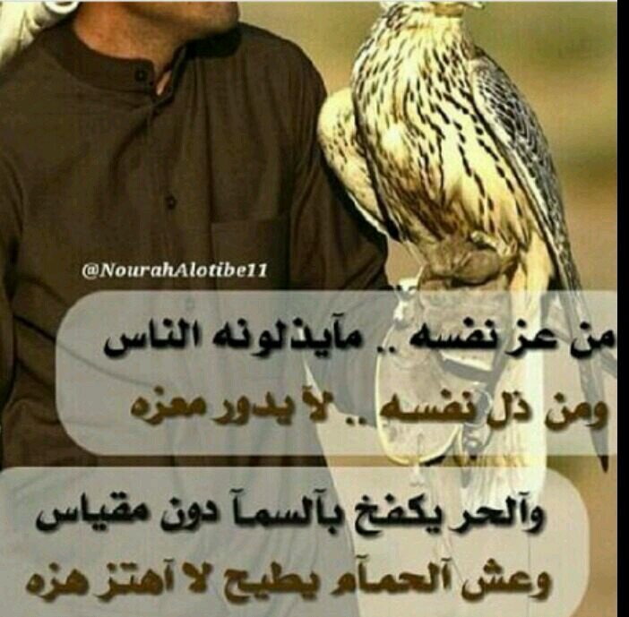 خواطر قصيره تويتر , كلمات وابيات شعر رقيقة مساء الخير