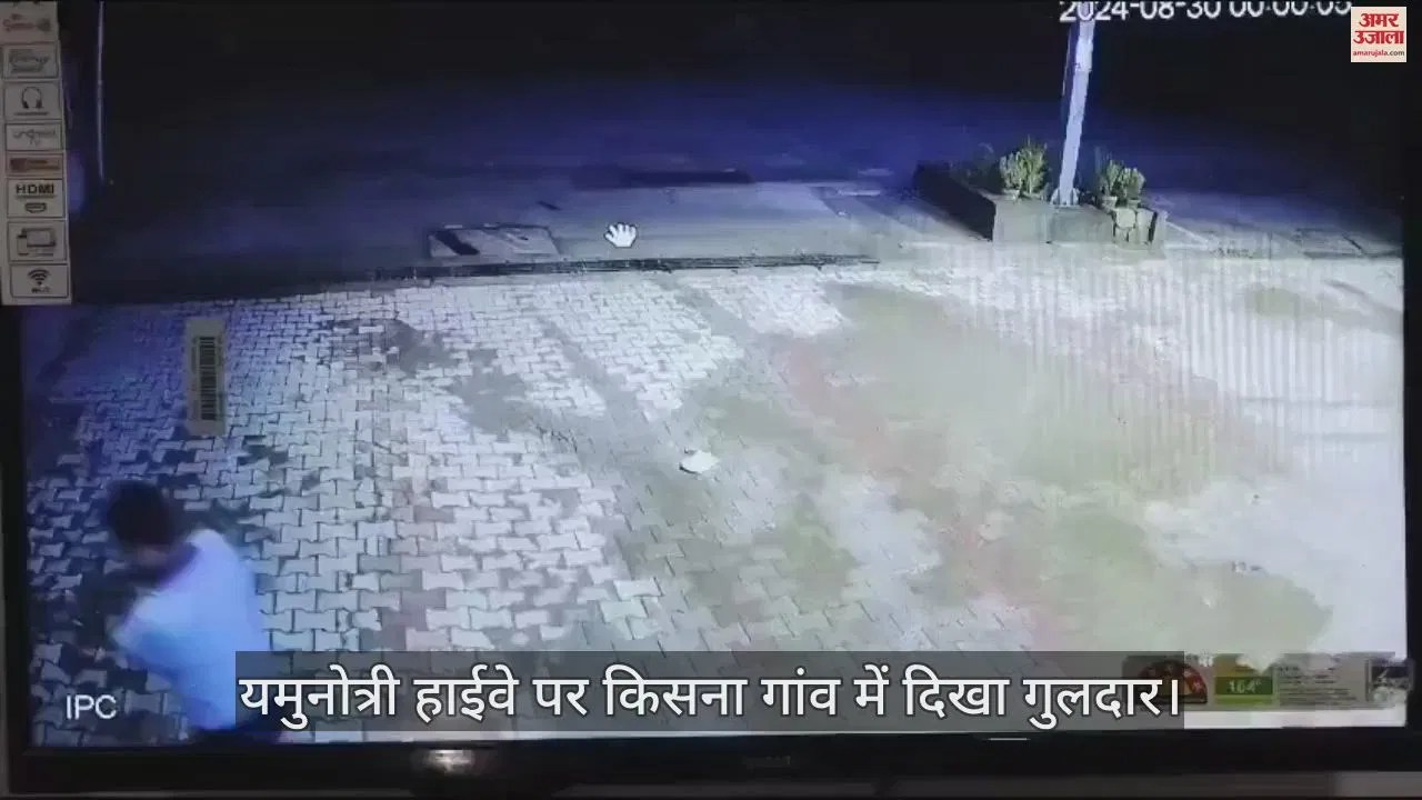 Video : Leopard Seen Roaming On Yamunotri Highway, Cctv Footage Revealed – Amar Ujala Hindi News Live