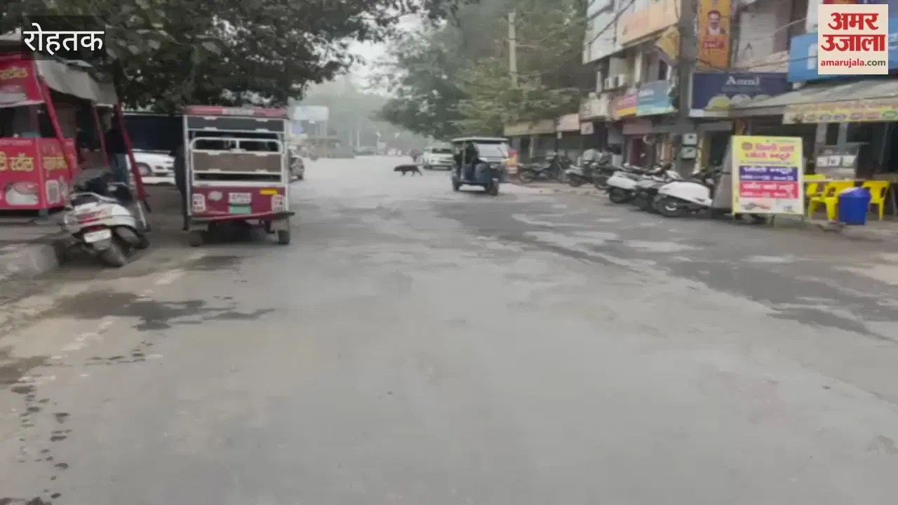रोहतक में नहीं निकली धूप, न्यूनतम तापमान नौ डिग्री सेल्सियस रहा  Latest Haryana News