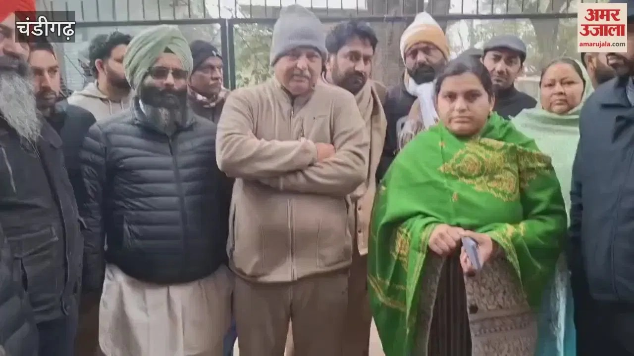Chandigarh: पार्षद सुमन शर्मा की जेठानी गिरफ्तार, सुनिए क्या बोली काउंसलर Chandigarh News Updates