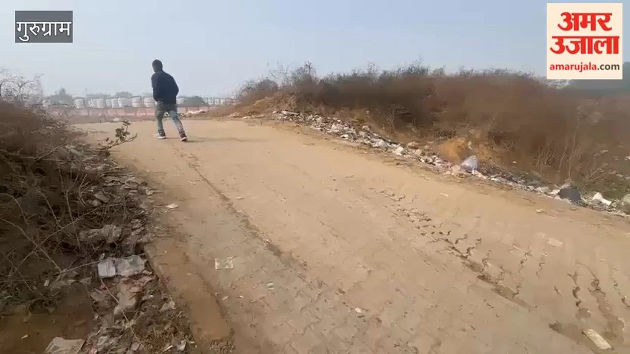 मानेसर के सेक्टर-7 के पास बने जल शोधन संयंत्र की चारदीवारी ठीक नहीं, इलाके में हादसों का खतरा बढ़ा  Latest Haryana News