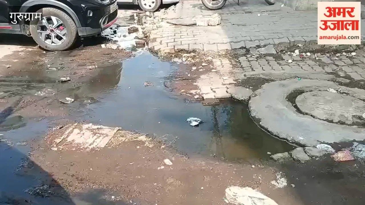 गुरुग्राम में बस स्टैंड के पास गोशाला का सीवर कई दिनों से हो रहा ओवरफ्लो  Latest Haryana News