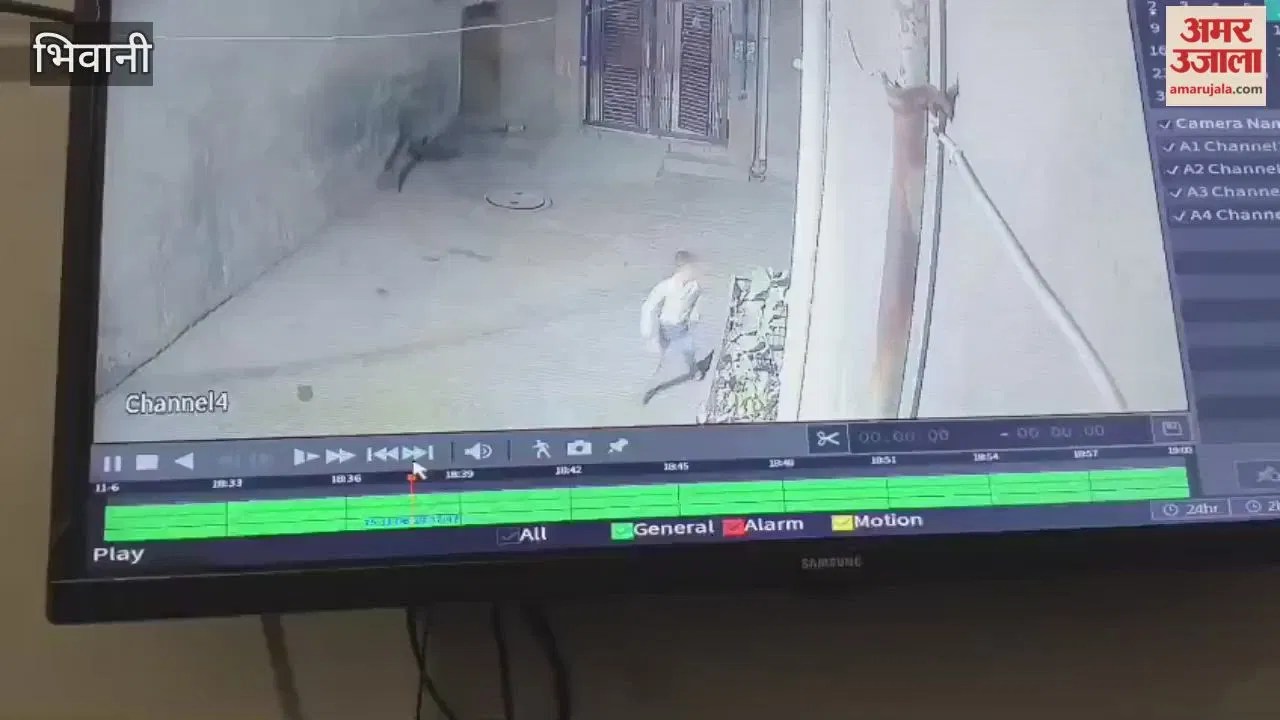 भिवानी में दिनदहाड़े गुंडागर्दी, गली में सरेआम डंडों से किया युवक पर जानलेवा हमला Latest Haryana News