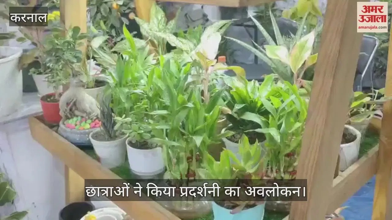 स्किल टैक इंडस्ट्रियल एक्सपो के टू एडिशन में छात्राओं ने किया प्रदर्शनी का अवलोकन Latest Haryana News