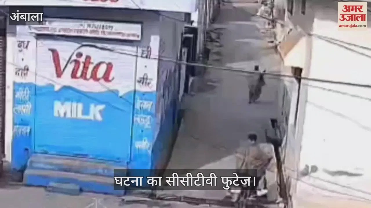 अंबाला: बाइक पर आए युवक ने झपटी कान की बाली, बुजुर्ग महिला हुई घायल Latest Haryana News