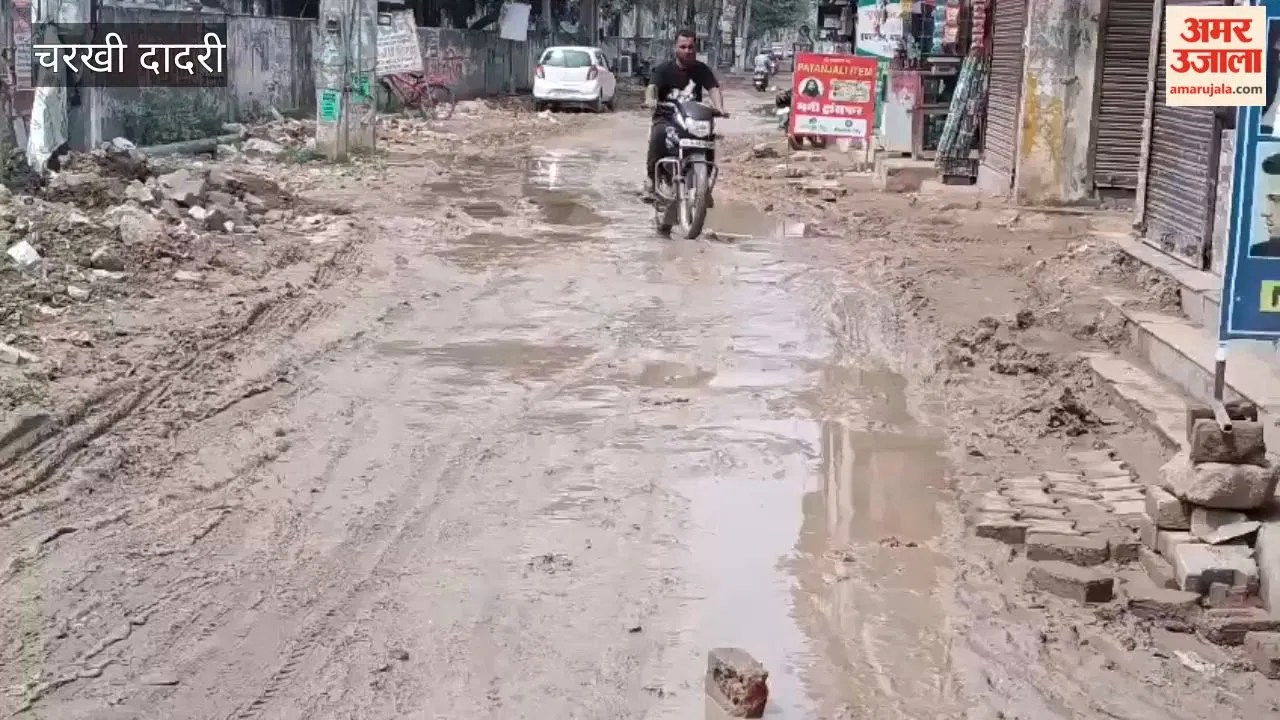 चरखी-दादरी में ढाणी फाटक के दोनों तरफ कीचड़ के हालात बनने से लोग हो रहे परेशान  Latest Haryana News
