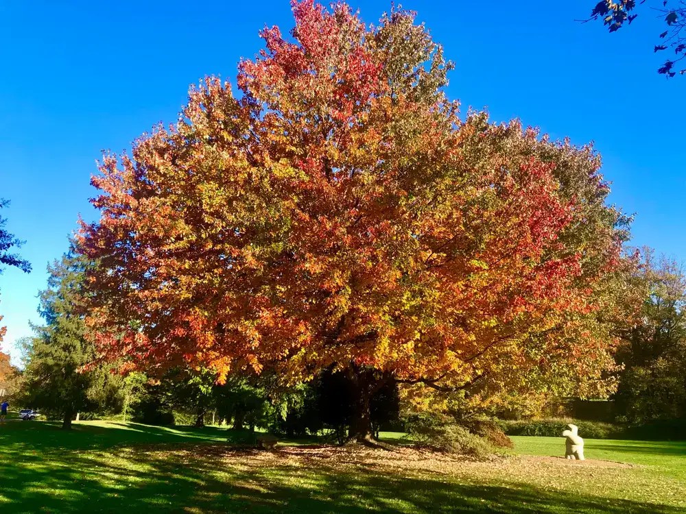 Moorestown Zoning Law Attorney Land Use Lawyer NJ