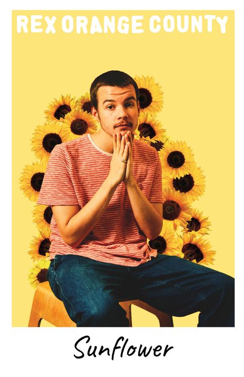 PosterScene Rock Music Posters Concert Poster, Silkscreen, Poster