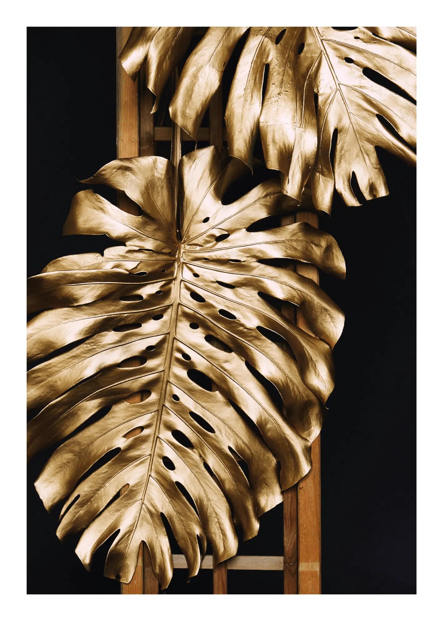 GOLDEN LEAVES Køb plakater og posters online