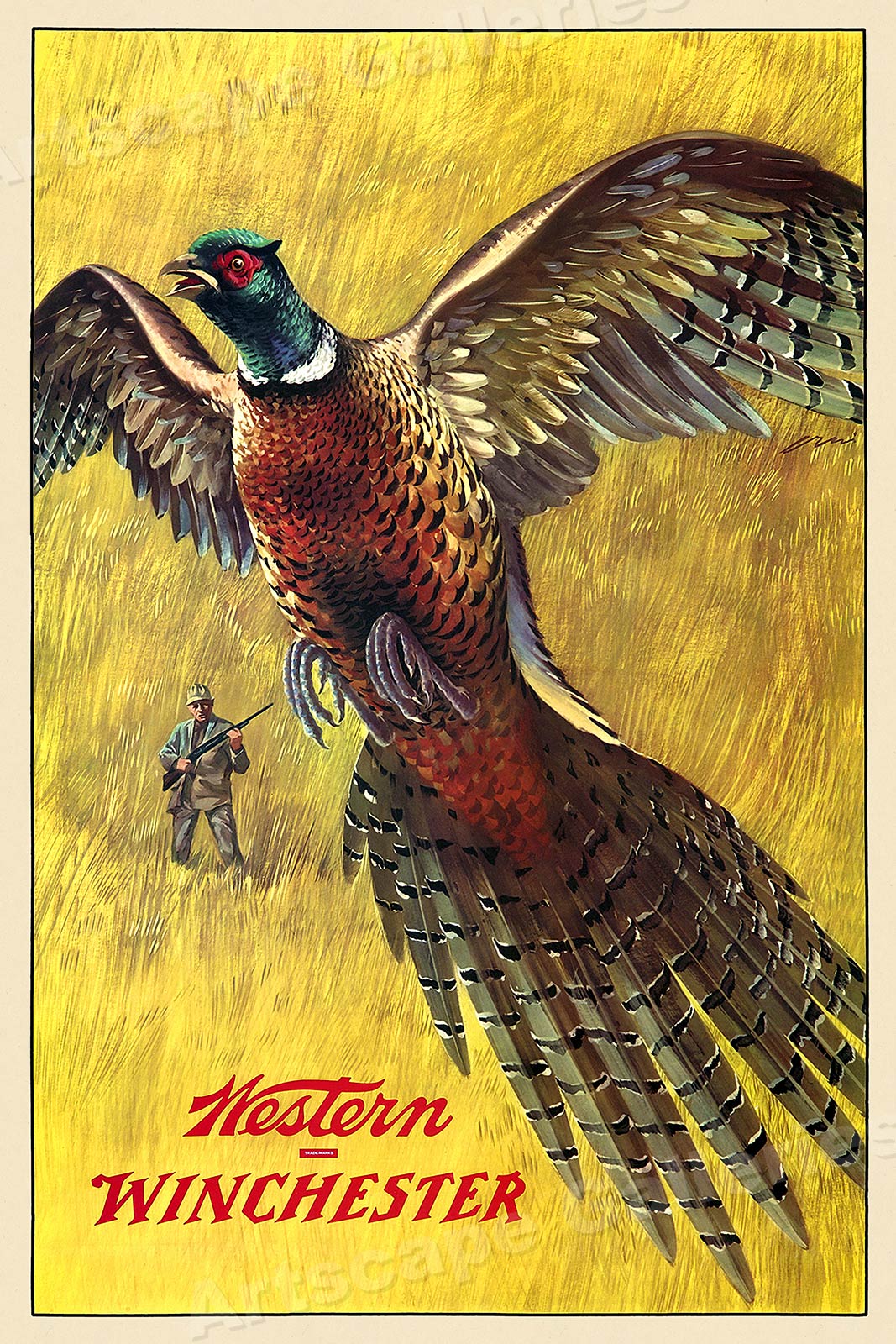 1950s Western Winchester Pheasant Vintage Style Hunting Poster 24x36