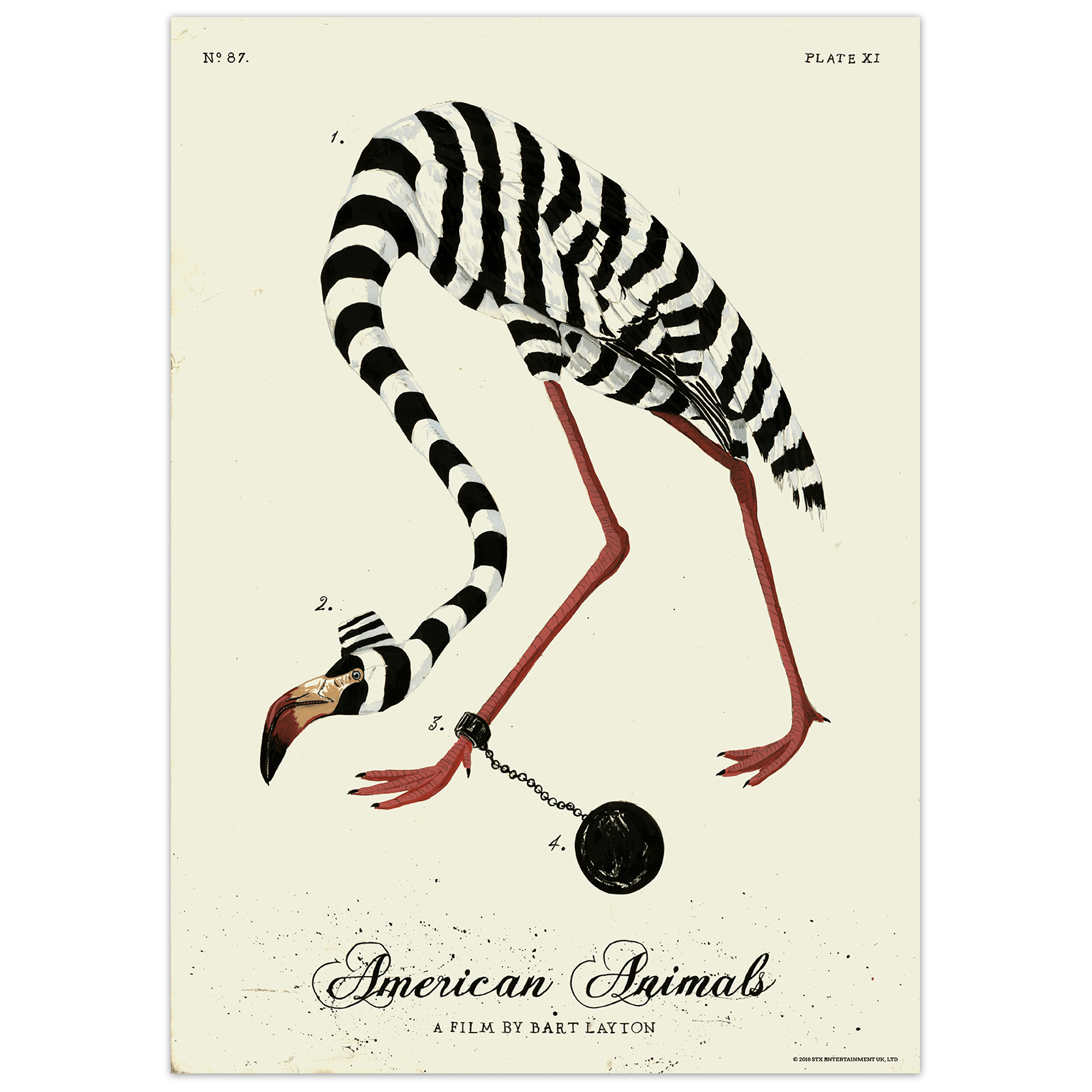 Eriboss American Animals PosterSpy Store