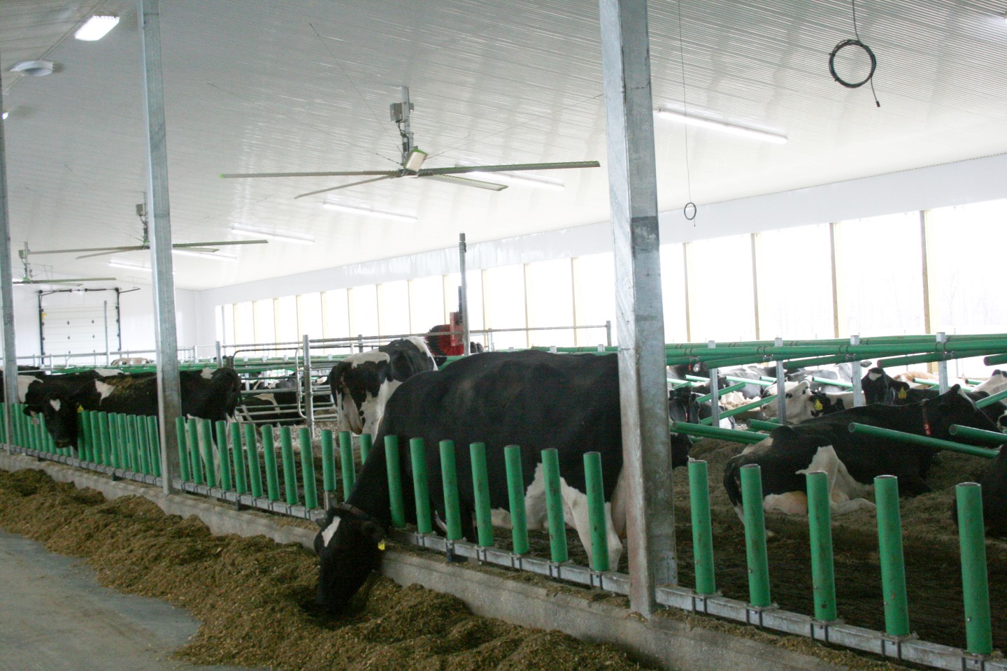Robotic Dairy Barns Dairy Barns Ontario Post Farm Structures