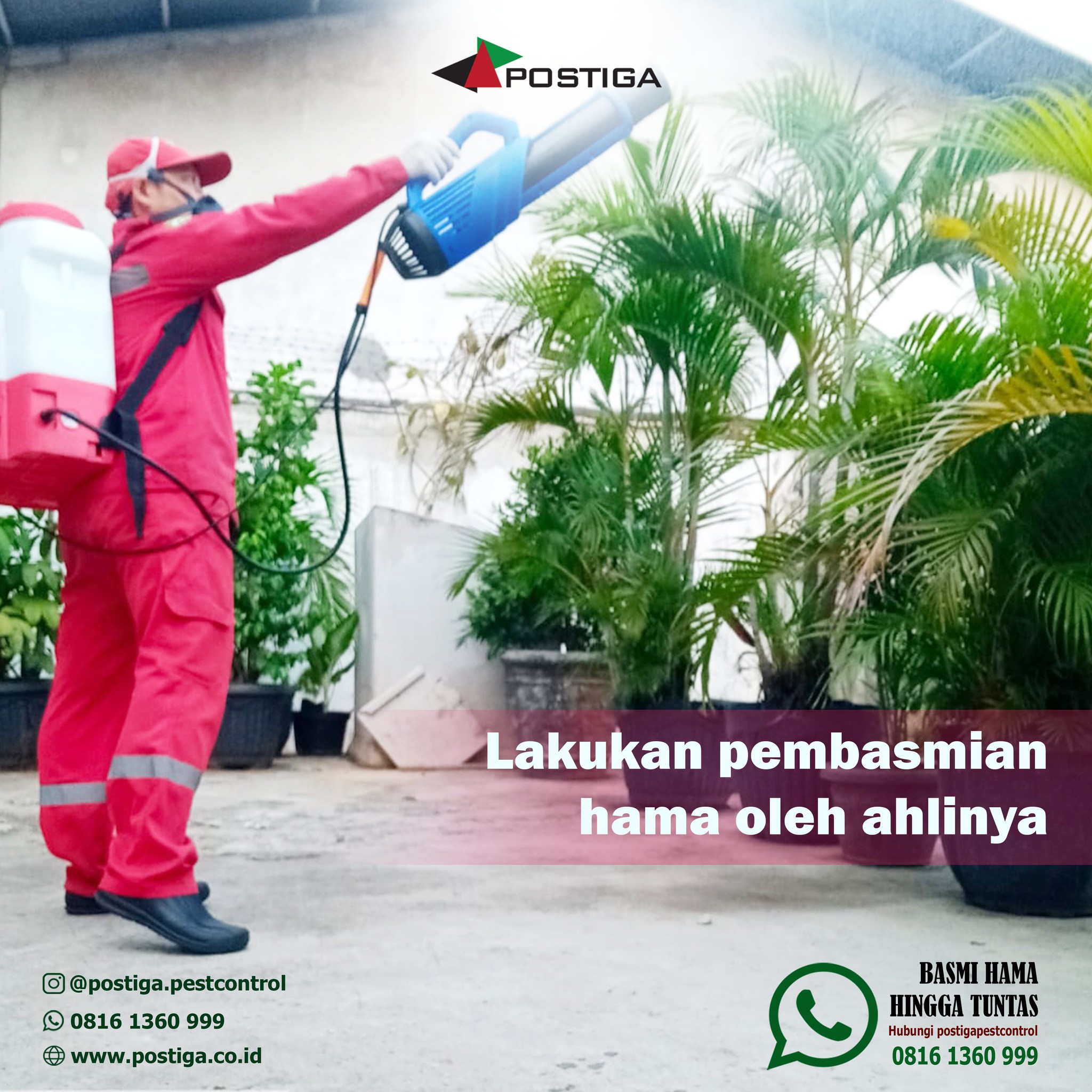 Apa yang Dimaksud Dengan Integrated Pest Management